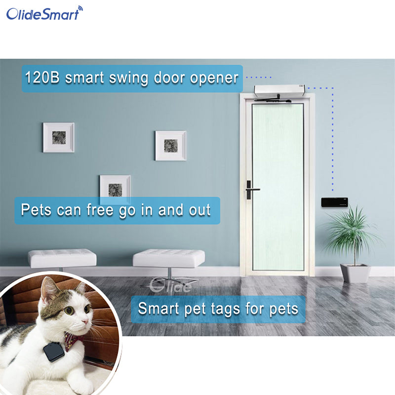 Automatic cat deals door opener